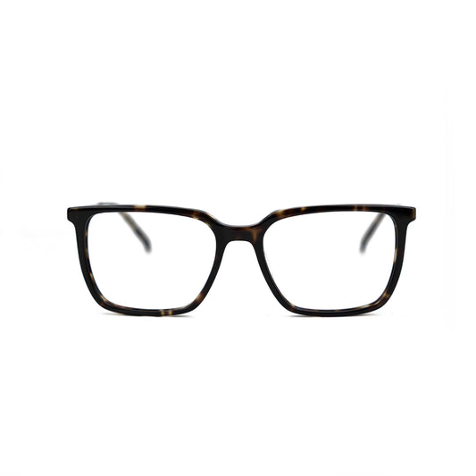090-TORTOISE-SILVER